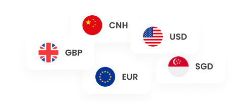Global payments in multiple currencies