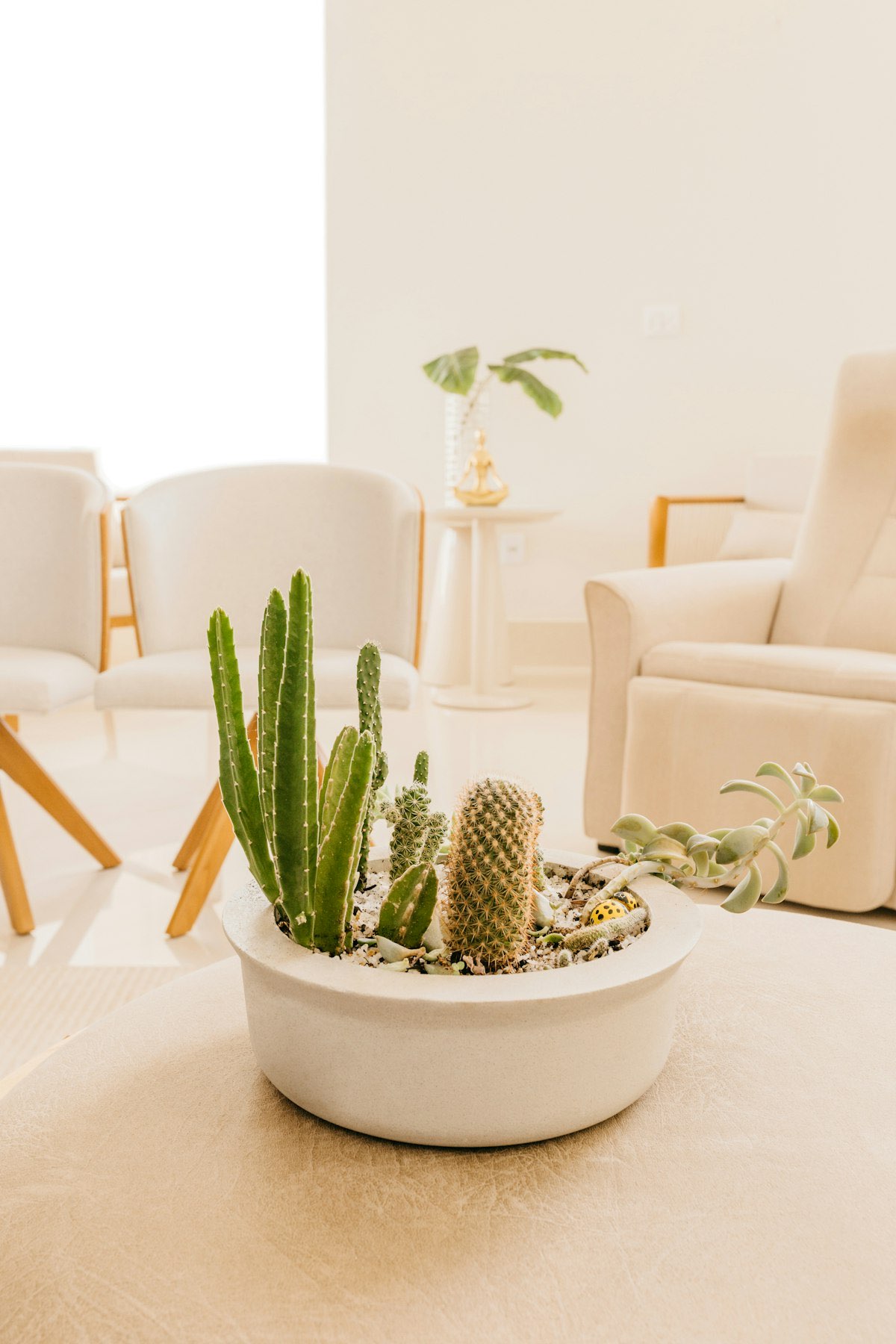 Home Decor